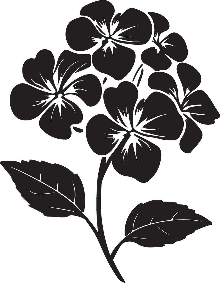 hortênsia flor silhueta vetor ilustração branco fundo