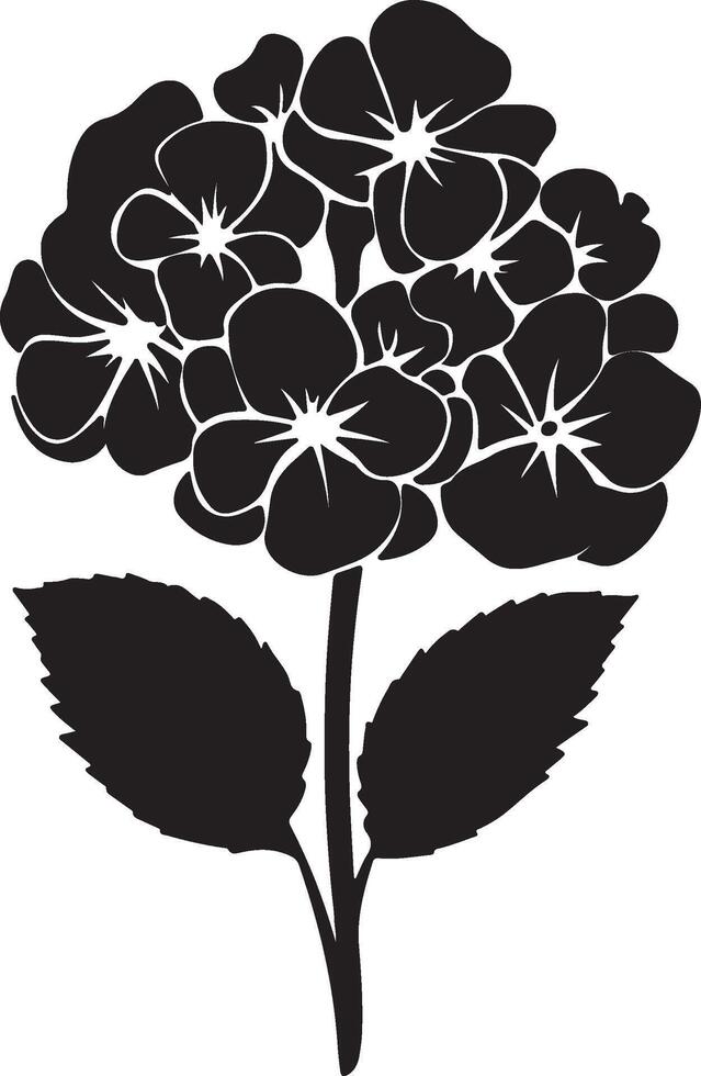hortênsia flor silhueta vetor ilustração branco fundo