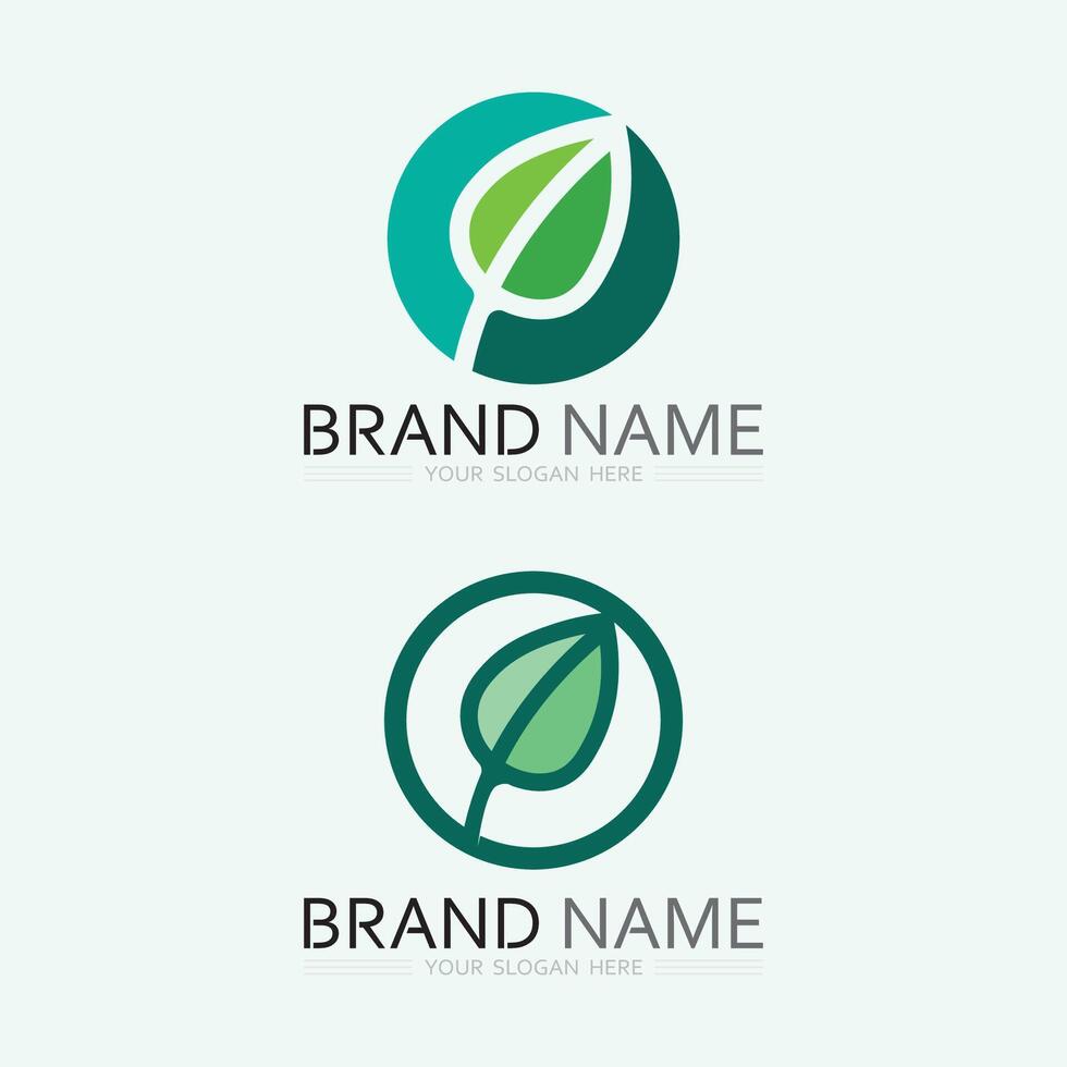 vetor de design de logotipo de folha para modelo de símbolo de natureza editável, ícone de vetor de elemento de natureza de ecologia de logotipo de folha verde.