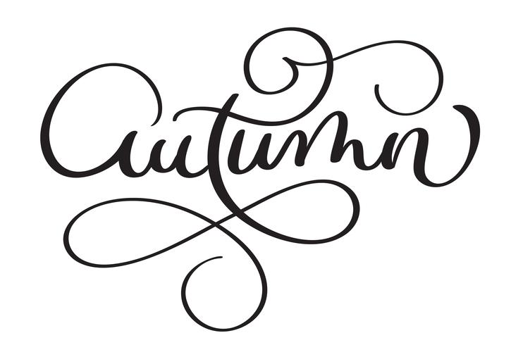 Palavra de outono em fundo branco. Mão desenhada caligrafia letras ilustração vetorial Eps10 vetor