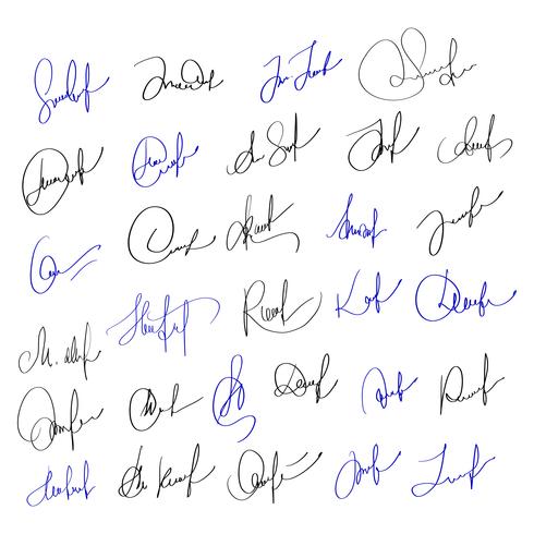 Assinatura manual para documentos em fundo branco. Mão desenhada caligrafia letras ilustração vetorial Eps10 vetor