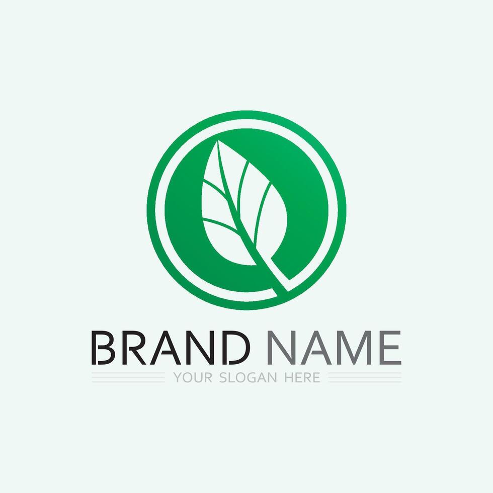 vetor de design de logotipo de folha para modelo de símbolo de natureza editável, ícone de vetor de elemento de natureza de ecologia de logotipo de folha verde.
