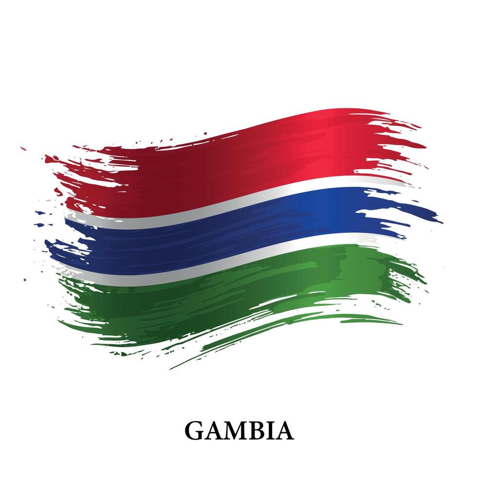 grunge bandeira do Gâmbia, escova acidente vascular encefálico vetor