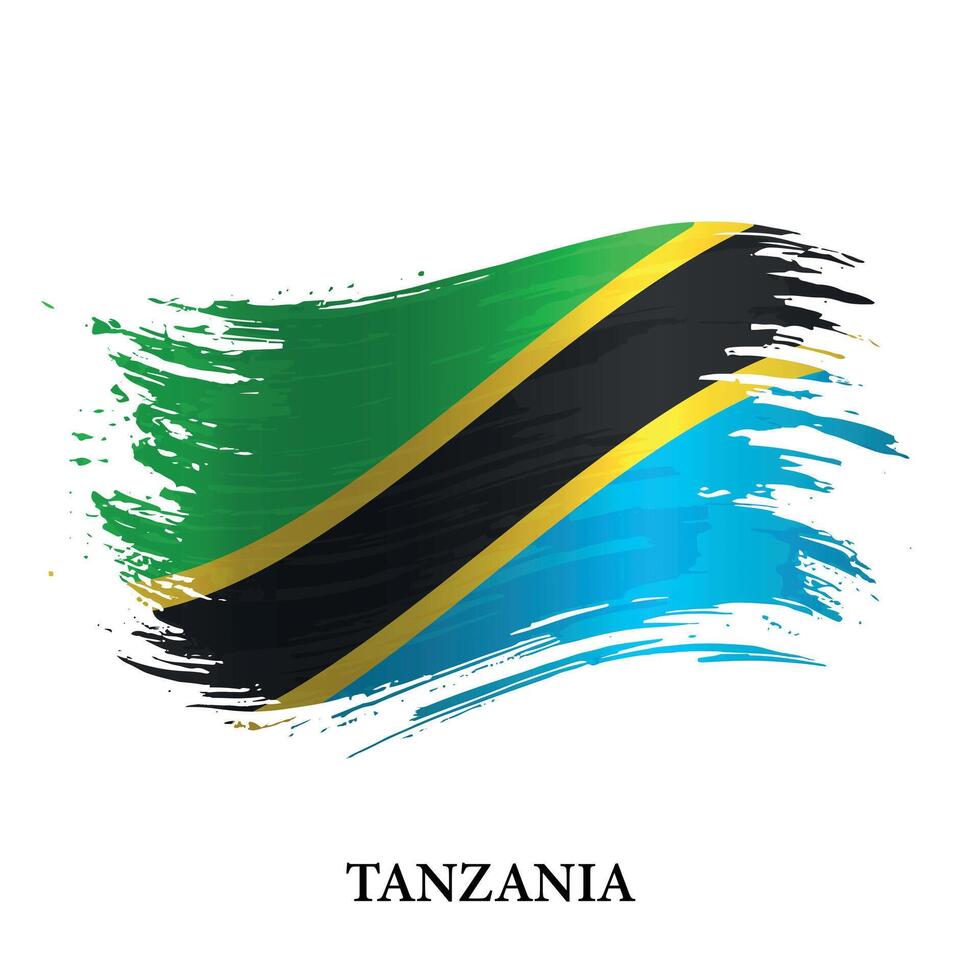 grunge bandeira do Tanzânia, escova acidente vascular encefálico vetor