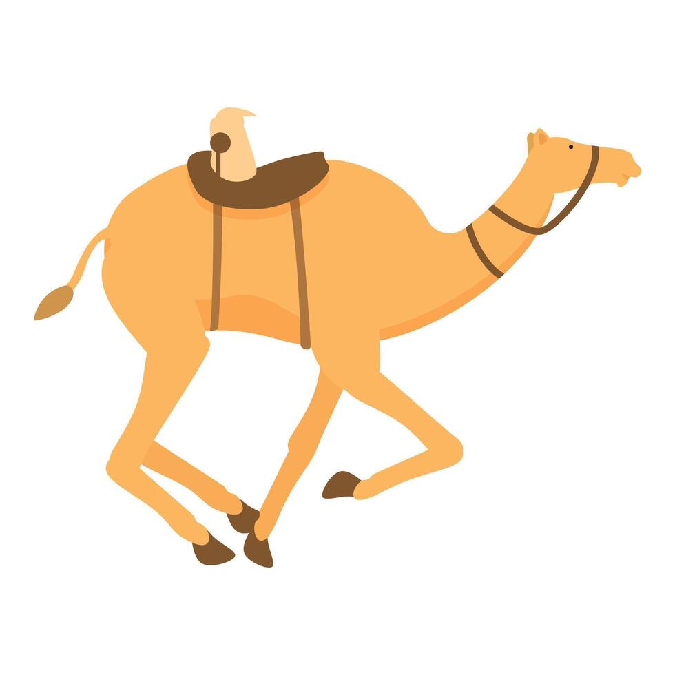 o mais rápido corrida camelo ícone desenho animado vetor. esporte corre tradição vetor