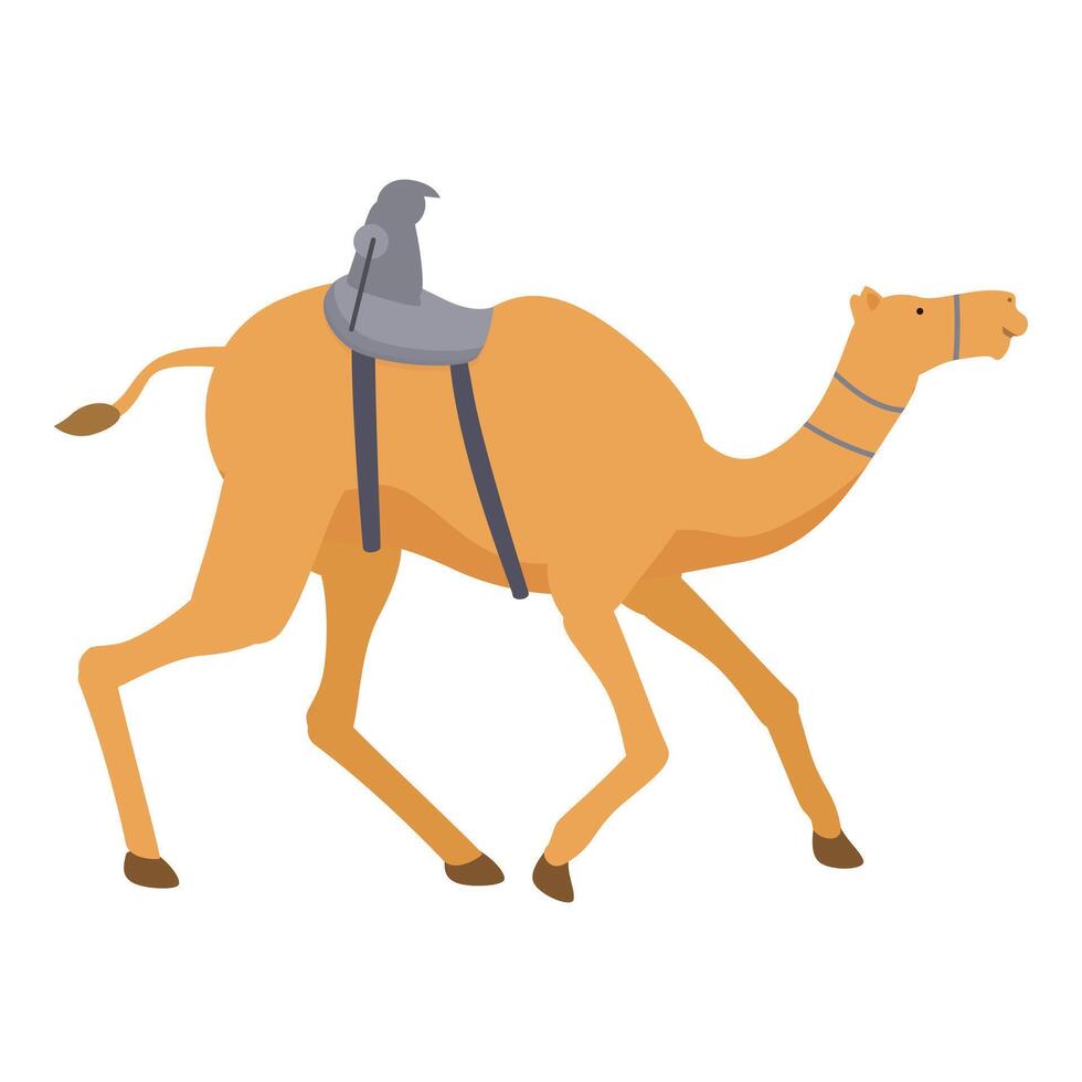 arábia saudita deserto camelo ícone desenho animado vetor. esporte tradição vetor