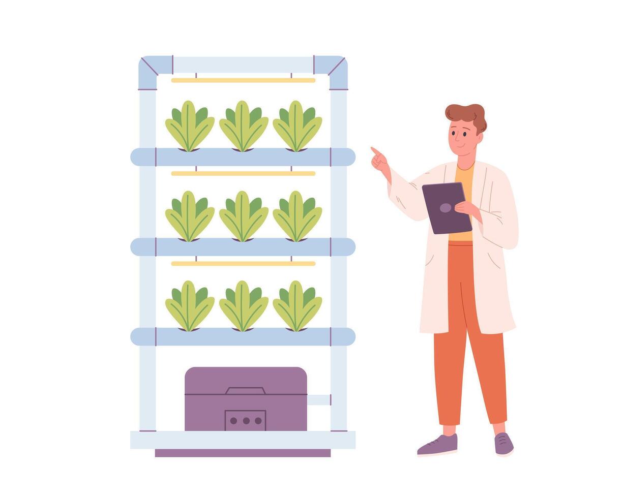 hidroponia tecnologia para plantas crescente. vertical agricultura. cientista ou biólogo cresce plantas dentro hidropônico Fazenda. inteligente Fazenda vetor