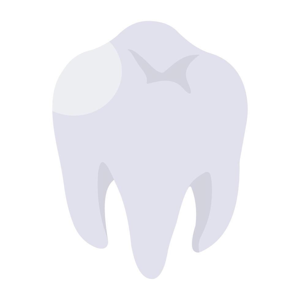 ícone de download premium de dente vetor