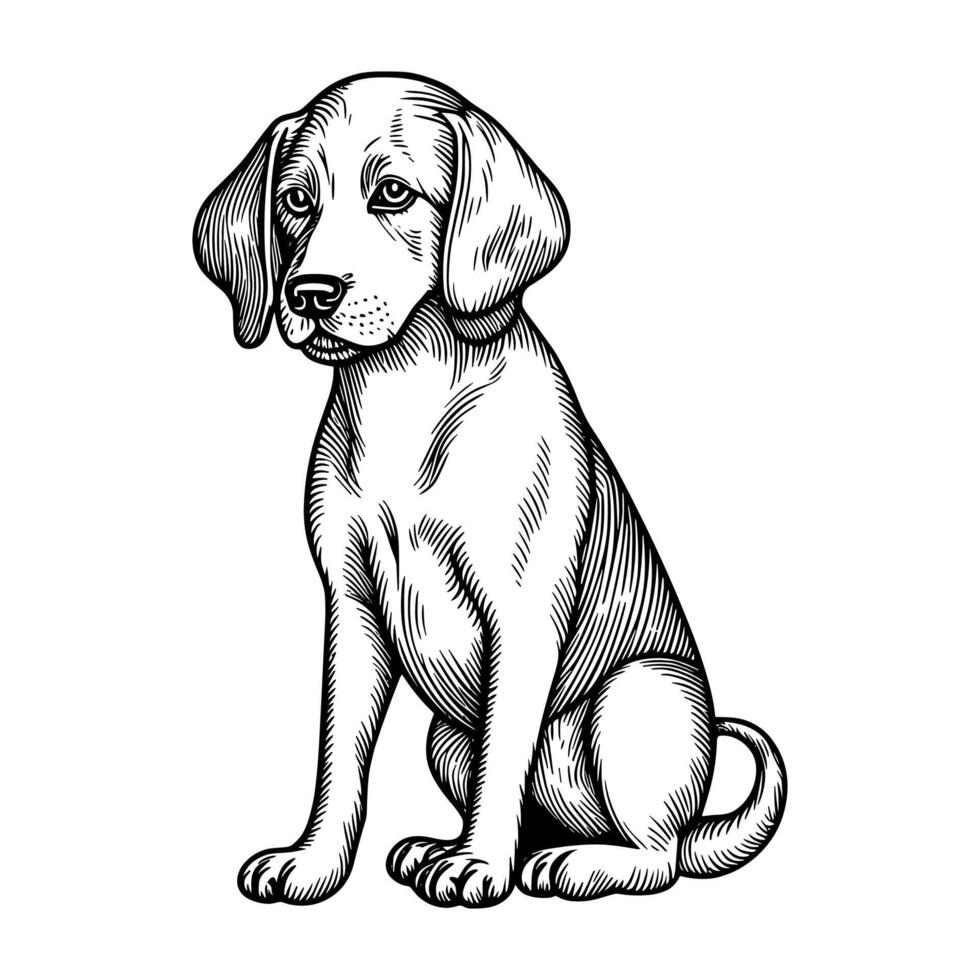 fofa cachorro vetor Preto e branco desenho animado personagem Projeto coleção. branco fundo. animais de estimação, animais.