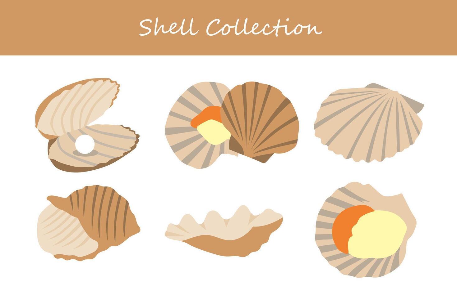 conjunto do conchas do mar dentro plano Projeto estilo. vetor ilustração.