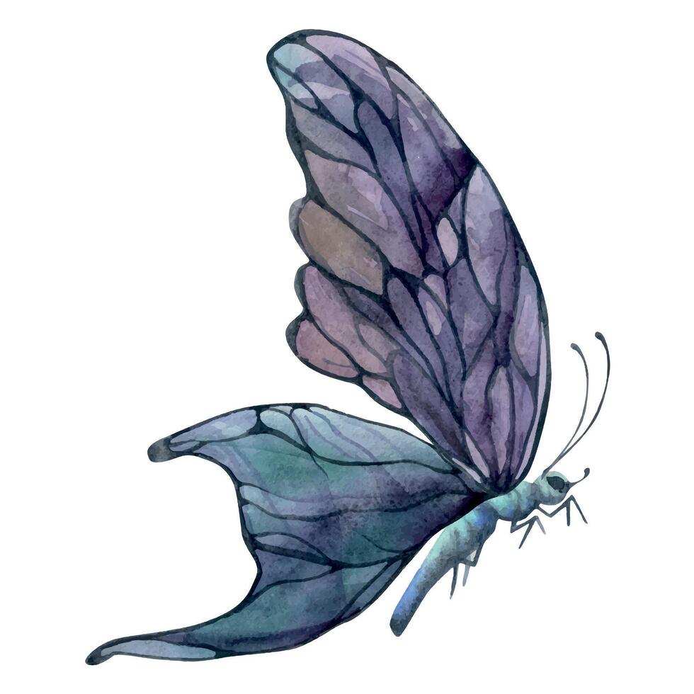 mão desenhado aguarela ilustração borboleta fada asas gema cristal inseto mariposa. ametista carruagem fluorita ametrino. solteiro objeto isolado em branco fundo. Projeto imprimir, comprar, casamento, aniversário vetor