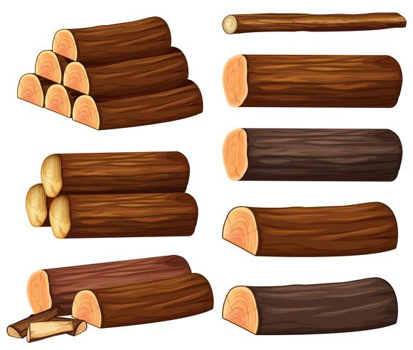Diferentes tipos de madeiras vetor