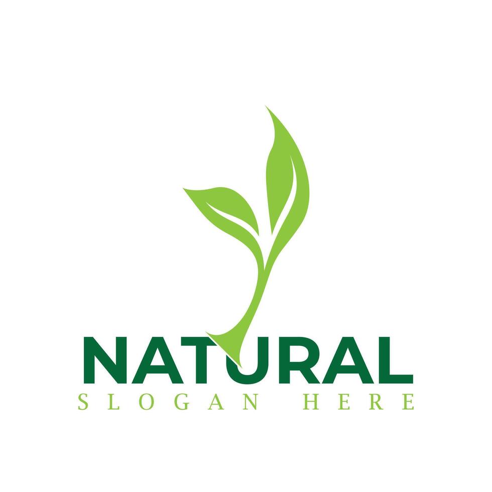 natural, eco comida, verde folha plantinha, crescendo plantar logotipo Projeto vetor modelo. natural logotipos com folhas