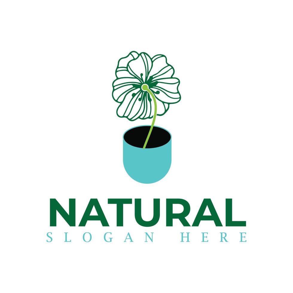 natural, eco comida, verde folha plantinha, crescendo plantar logotipo Projeto vetor modelo. natural logotipos com folhas