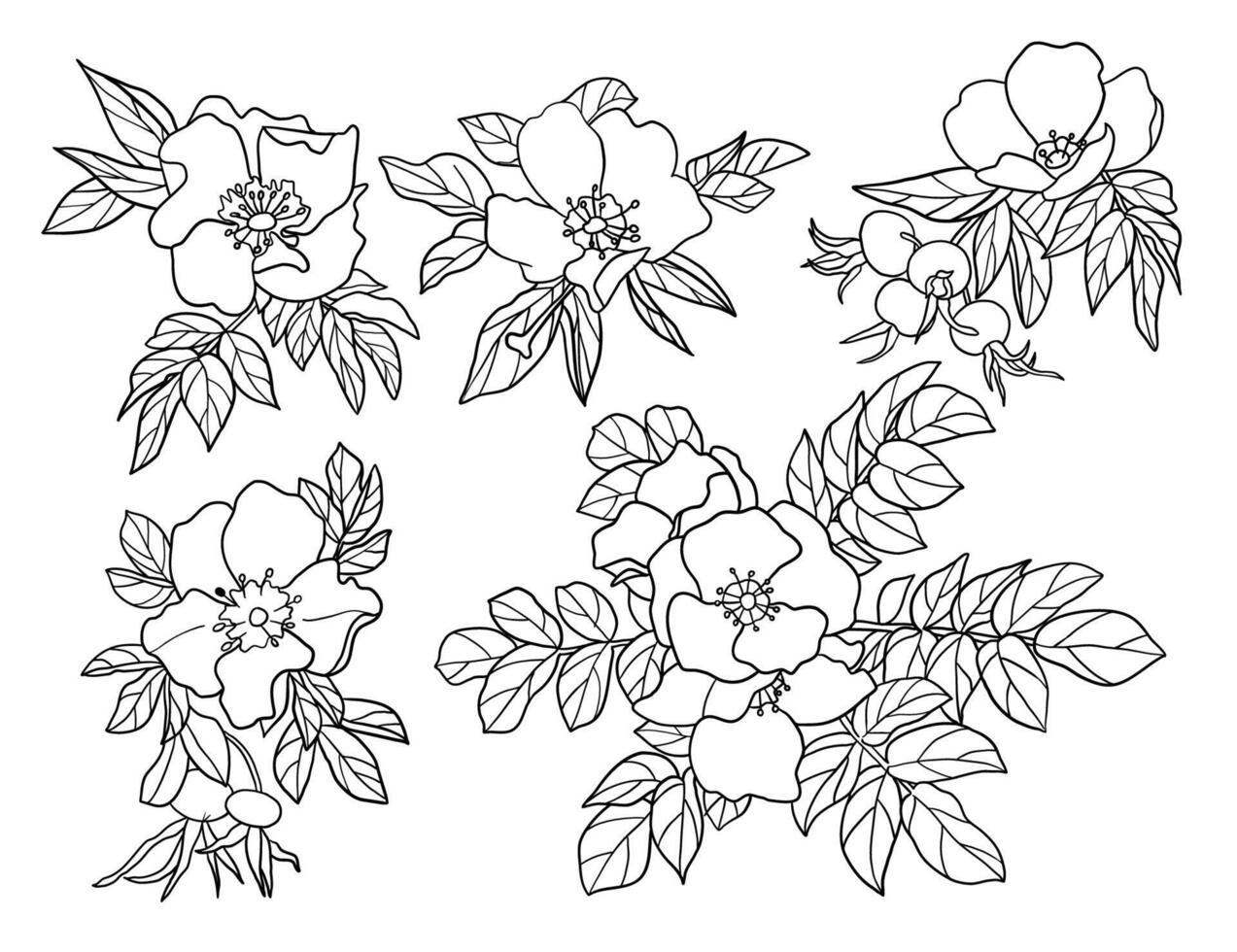 rosa quadril flor silhuetas definir, ampla pacote do vetor silhueta projeto, isolado branco fundo