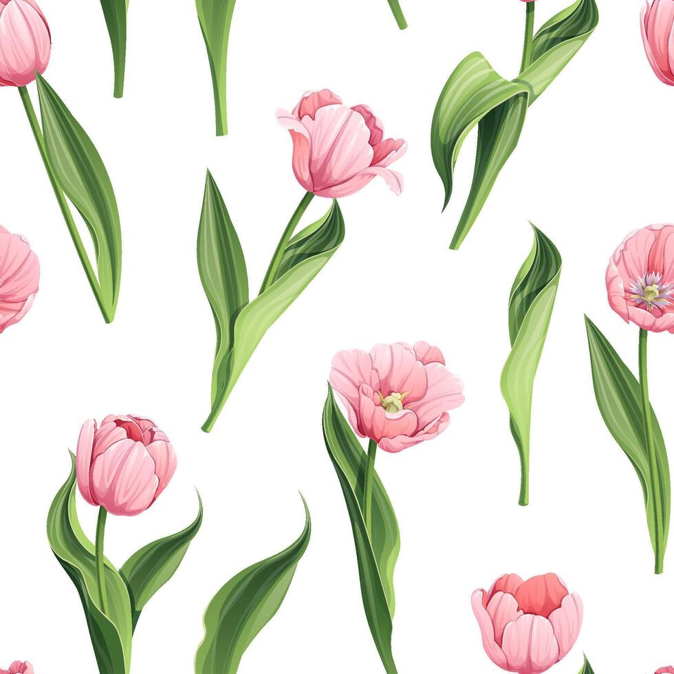 desatado padronizar com Rosa tulipas. fundo para marcha 8, mãe dia. textura com Primavera flores ótimo para invólucro papel, têxteis, tecido, papel de parede, etc vetor