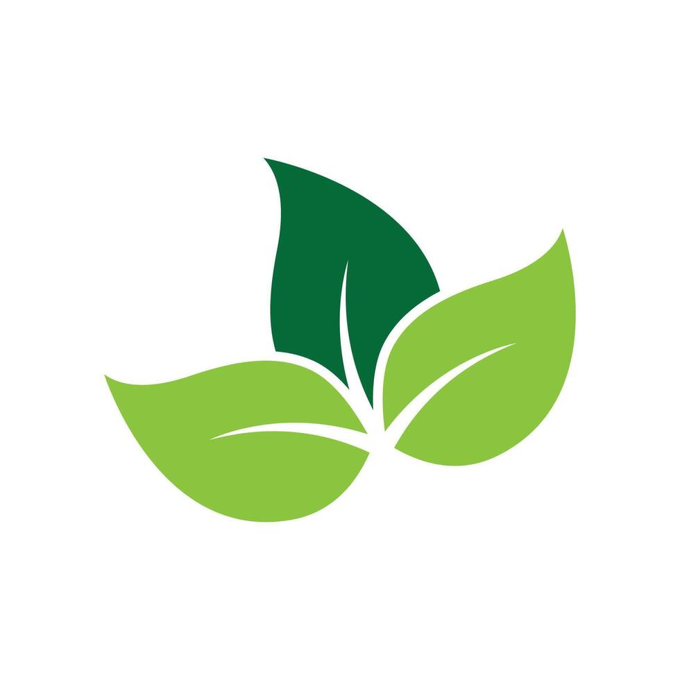 verde folha logotipo vetor modelo elemento símbolo Projeto