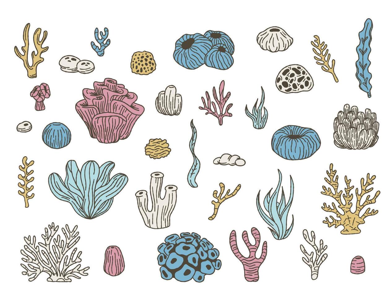 coral definir. oceano plantas, embaixo da agua flora, algas marinhas. vetor conjunto