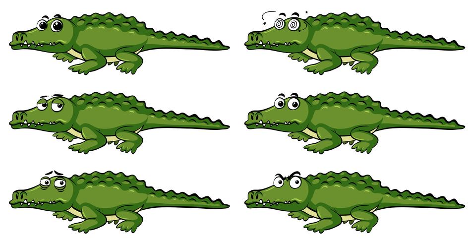 Crocodilo com emoções diferentes vetor