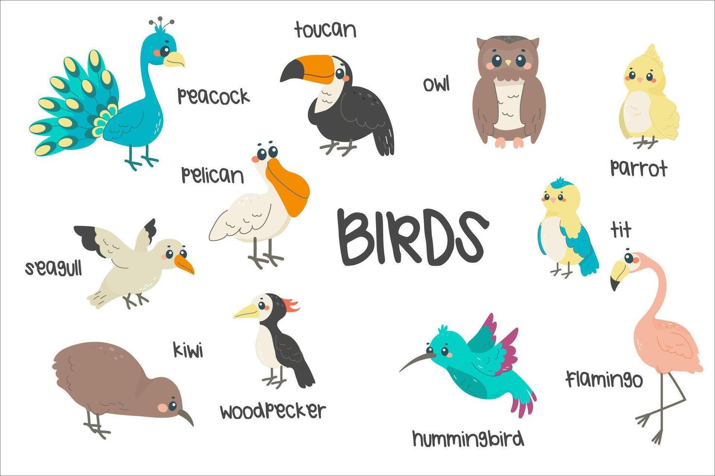 conjunto do diferente pássaros, uma infantil ilustração, com nomes. primavera, exótico pássaros. vetor