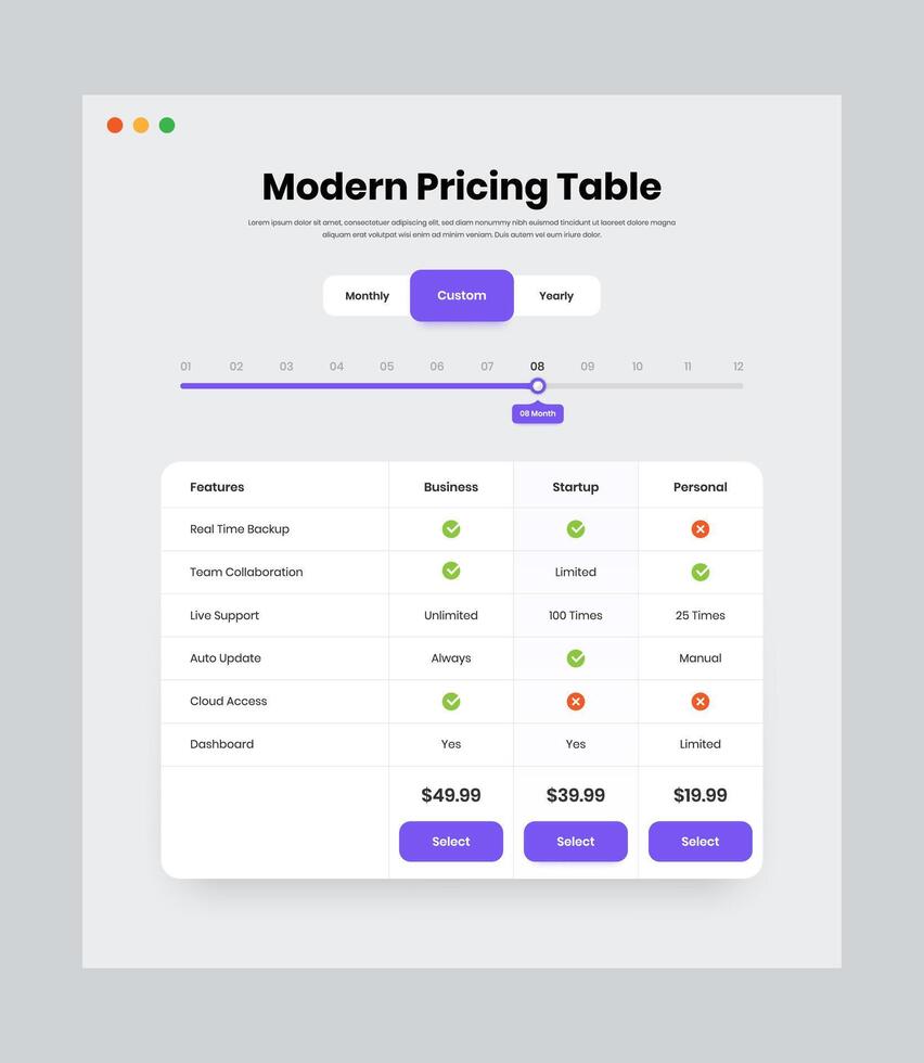 profissional o negócio modelo inscrição e plano Visão geral rede interface Projeto com personalizadas filtro vetor