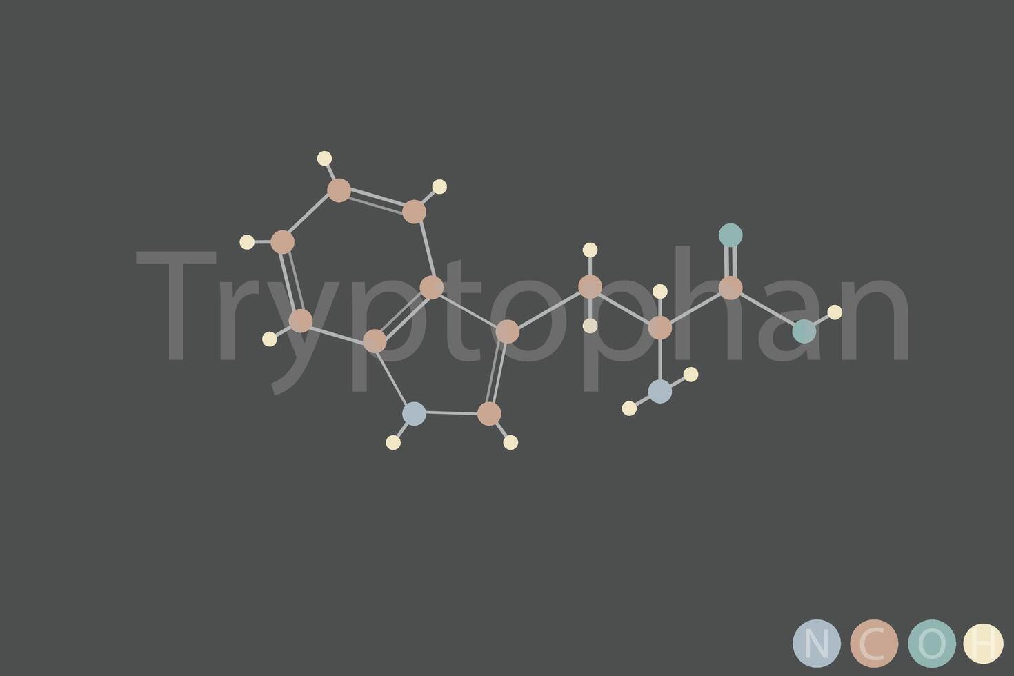 triptofano molecular esquelético químico Fórmula vetor