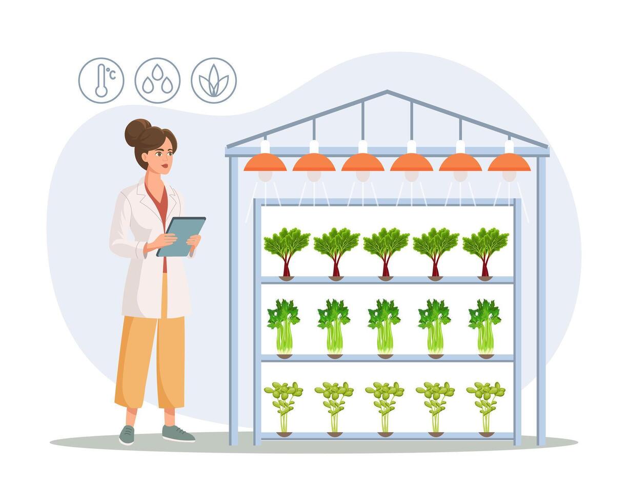 hidropônico tecnologia para crescendo plantas. cientista ou biotecnologista às hidropônico Fazenda. vertical agricultura. inteligente Fazenda. ilustração, vetor