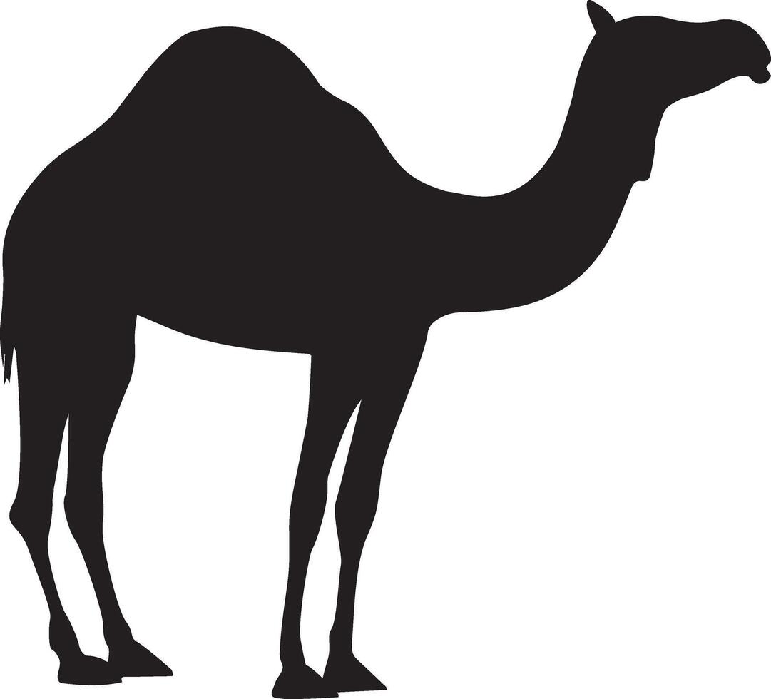 camelo vetor ilustração projeto, silhueta camelo com Preto cor