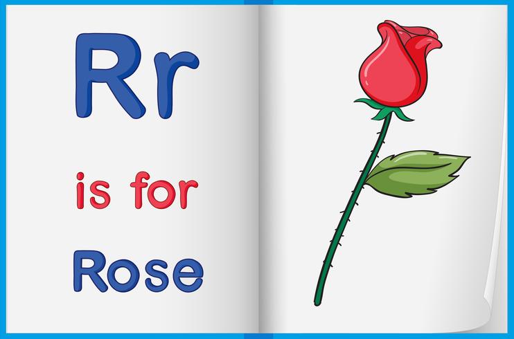 Uma foto de uma rosa em um livro vetor