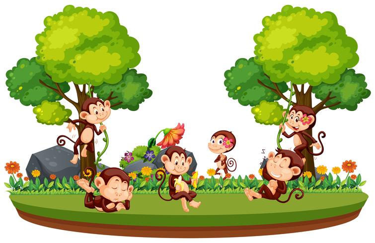 Macaco selvagem na floresta vetor
