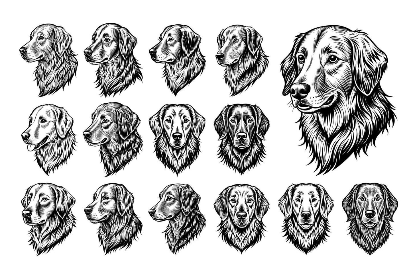 ai gerado conjunto do mão desenhado dourado retriever cachorro cabeça ilustração Projeto vetor