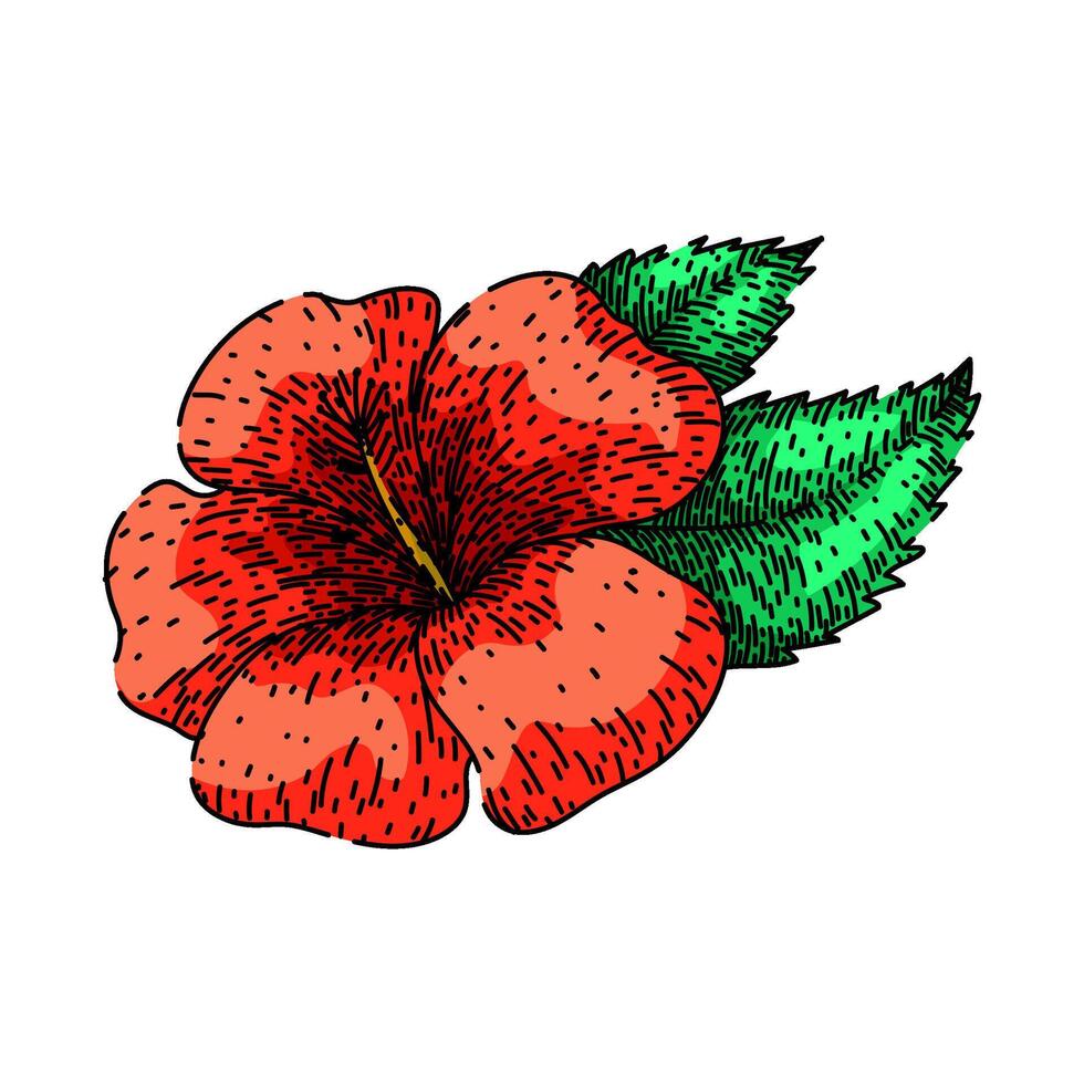 Havaí hibisco esboço mão desenhado vetor