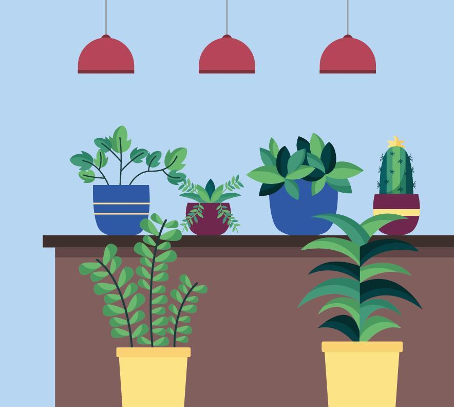 Plantas de casa isoladas dentro de vasos de desenho vetorial vetor