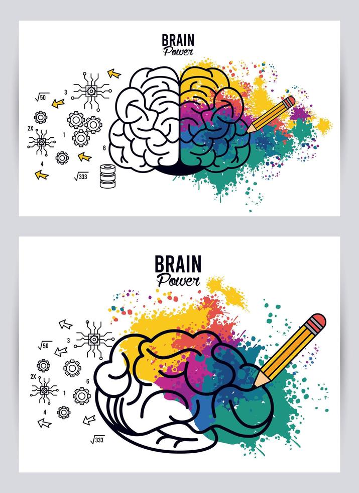 modelos de energia de cérebros com respingos de cores e lápis vetor