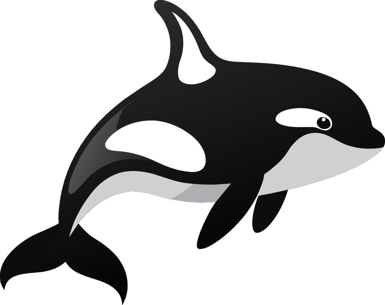 ilustração do uma assassino baleia ou assassino baleia em isolado branco fundo vetor