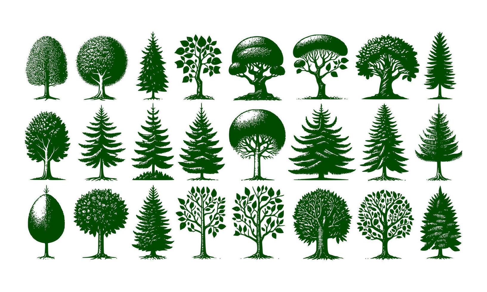 diversidade do árvores conjunto em fundo branco vetor