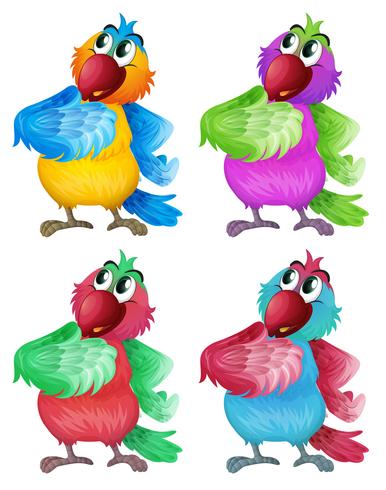Quatro papagaios coloridos vetor