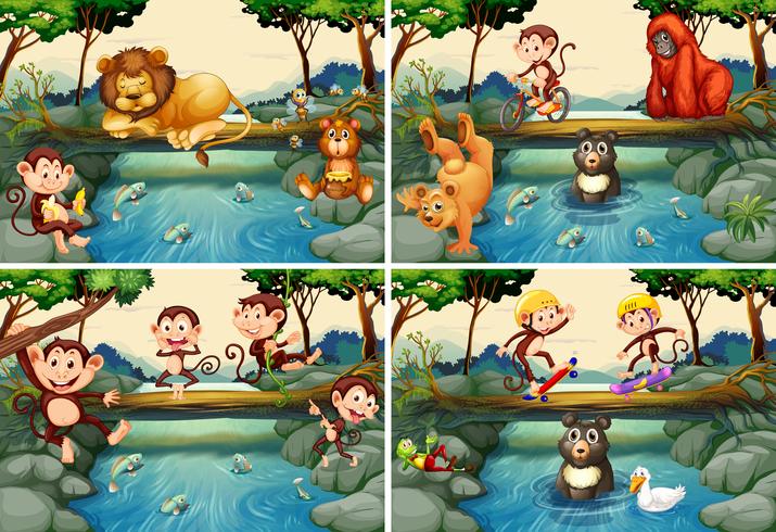 Quatro cenas com animais selvagens no rio vetor