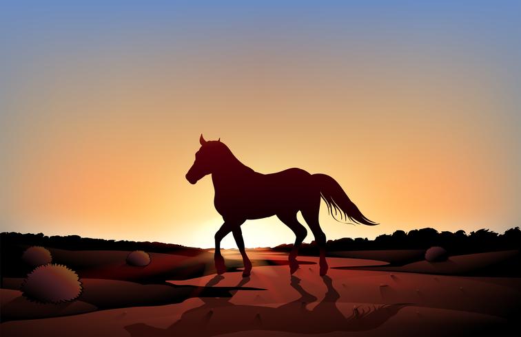 Um, cavalo, em, um, pôr do sol, paisagem, em, a, deserto vetor