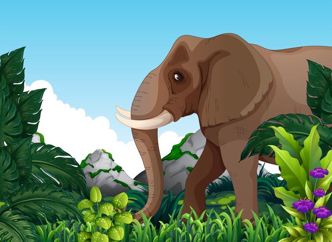 Um elefante na floresta vetor