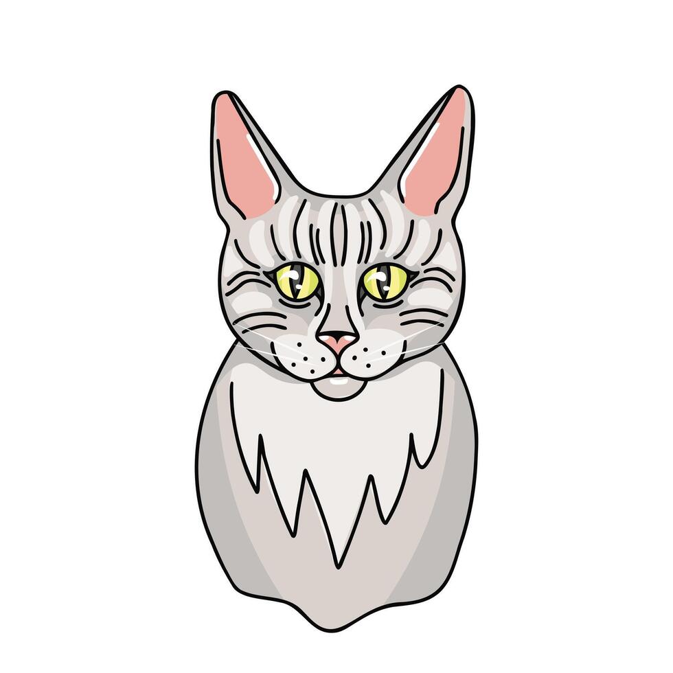 cinzento gato, animal. ilustração para impressão, fundos, cobre e embalagem. imagem pode estar usava para cumprimento cartões, cartazes, adesivos e têxtil. isolado em branco fundo. vetor