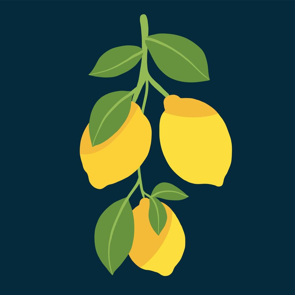doodle desenho de esboço à mão livre de frutas limão. vetor
