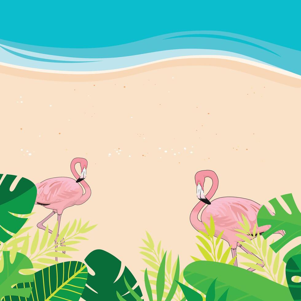 Rosa flamingos em pé em a de praia com tropical folhas desenho animado estilo verão Tempo fundo vetor