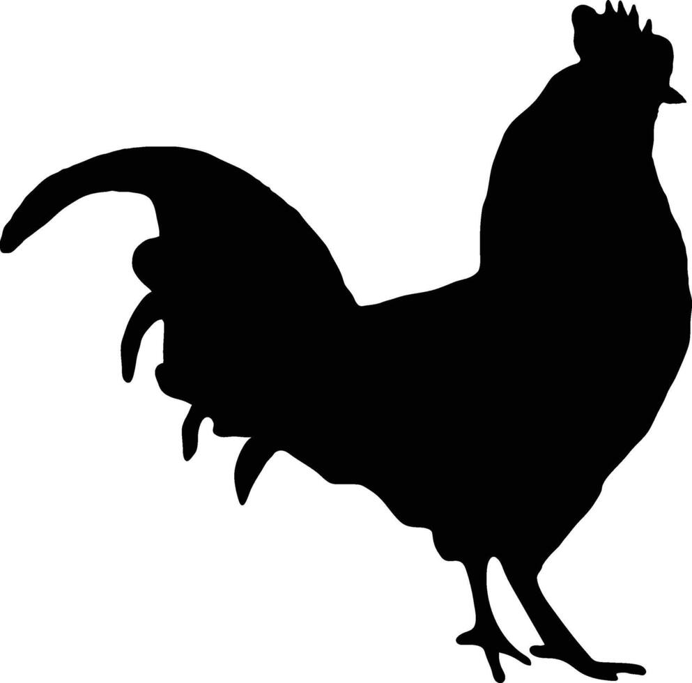 galo chiken vetor