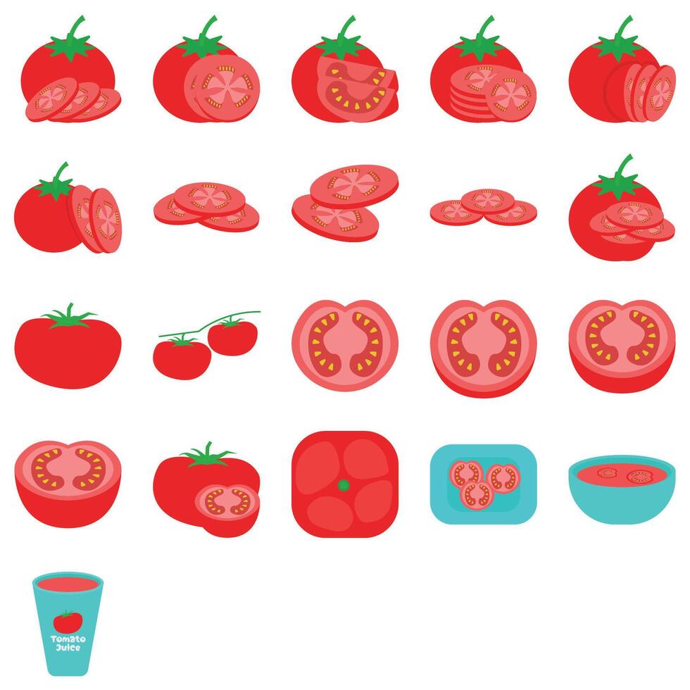 ilustração do tomate pacote vetor