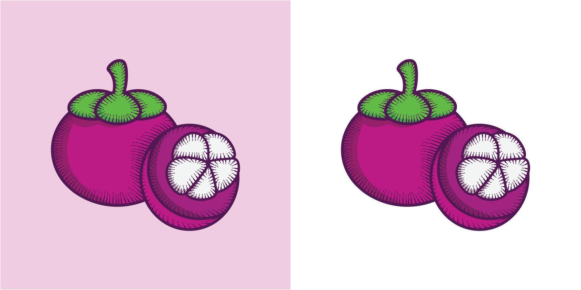 mangostão fruta vetor ilustração modelo Projeto