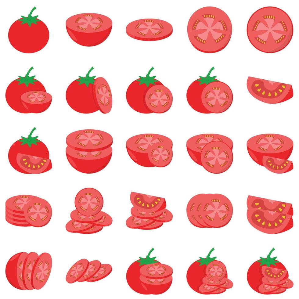 ilustração do tomate pacote vetor