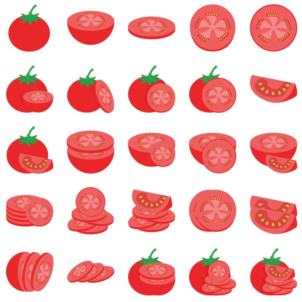 ilustração do tomate pacote vetor