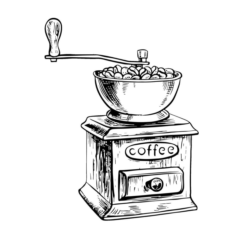 uma café moedor moagem café feijões. vetor Preto e branco ilustração ilustração em uma branco isolado fundo. para impressão, menus, cartões postais e pacotes. para bandeiras, folhetos e cartazes.