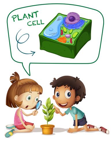 Menino menina, olhar, planta, célula vetor